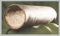 �z����ϴ��